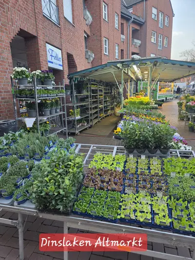 Frische Schnittblumen und Frühlingssträuße am Marktstand in Dinslaken