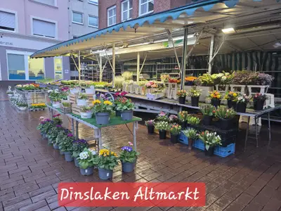 Blumen- und Pflanzenstand am Altmarkt in Dinslaken