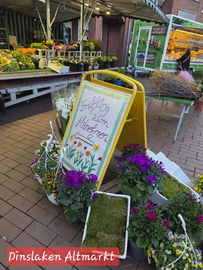 Auswahl an Topfpflanzen und Schnittblumen in Dinslaken