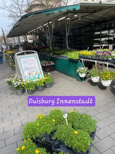 Blumenstand von Blumen Malchow auf der Königstraße in Duisburg