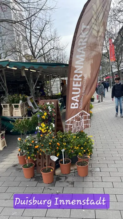 Frische Schnittblumen und Frühlingsblüher in der Duisburger Innenstadt