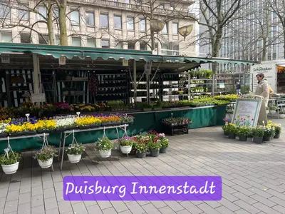 Marktstand mit Blumen auf der Königstraße in Duisburg